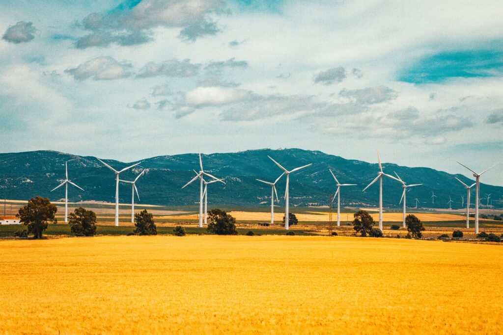 raimond klavins icni2hx2wvo unsplash